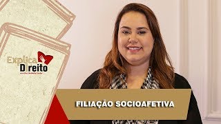 Explica Direito Filiação Socioafetiva  2019 [upl. by Averir746]